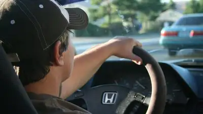 pixabay.com, фото - Новости Zakon.kz от 02.03.2019 18:06