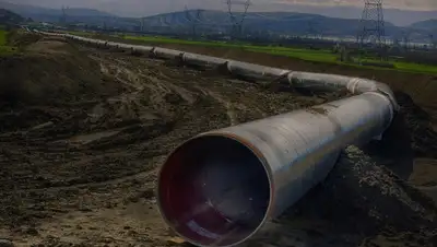 Pixabay, фото - Новости Zakon.kz от 05.02.2020 20:23