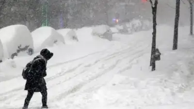 zakon.kz., фото - Новости Zakon.kz от 04.02.2020 18:28