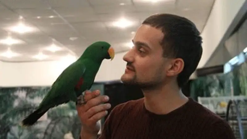 В Усть-Каменогорске открылась выставка экзотических птиц, фото - Новости Zakon.kz от 23.11.2013 19:26