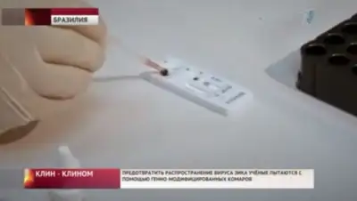 Zakon.kz, фото - Новости Zakon.kz от 10.05.2016 04:36