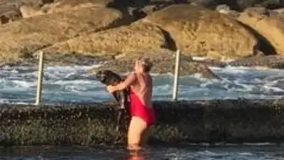 Zakon.kz, фото - Новости Zakon.kz от 11.10.2017 10:45