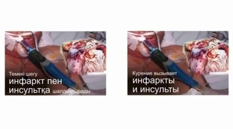 Минздрав принимает системные меры по снижению табакокурения в Казахстане, фото - Новости Zakon.kz от 29.11.2011 22:34