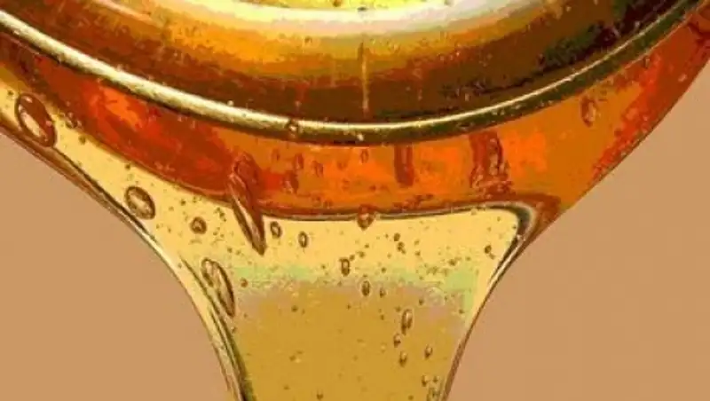 Гражданина КНР с 600 кг меда задержали на границе