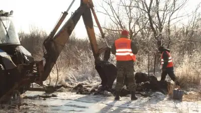 Zakon.kz, фото - Новости Zakon.kz от 05.01.2018 11:14
