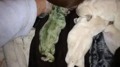 Zakon.kz, фото - Новости Zakon.kz от 08.02.2017 19:25