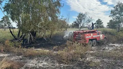 Крупный пожар в заповеднике Костанайской области потушили