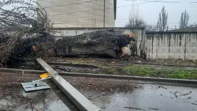 Сильный ветер, метель, МЧС, фото - Новости Zakon.kz от 31.03.2022 15:08