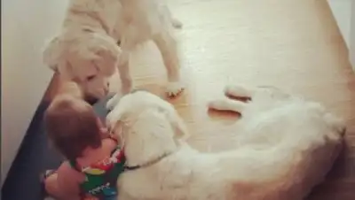 glavred.info, фото - Новости Zakon.kz от 10.06.2018 07:29