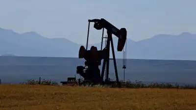 Zakon.kz, фото - Новости Zakon.kz от 14.06.2016 20:18