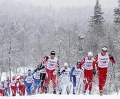  этапа КМ в Швеции, фото - Новости Zakon.kz от 26.11.2012 15:05