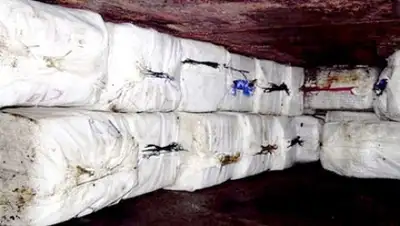 Zakon.kz, фото - Новости Zakon.kz от 13.08.2016 02:16