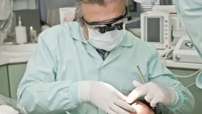 pixabay.com, фото - Новости Zakon.kz от 22.11.2019 23:14