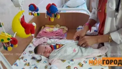 Zakon.kz, фото - Новости Zakon.kz от 03.11.2017 20:29