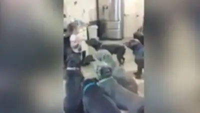 Zakon.kz, фото - Новости Zakon.kz от 13.01.2015 16:09