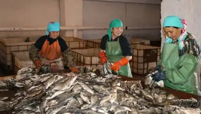 Пресс-служба акима Атырауской области, фото - Новости Zakon.kz от 21.05.2018 16:33