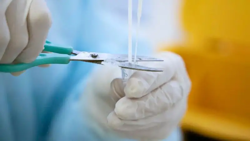 Всего 7 казахстанцев заболели коронавирусом за сутки