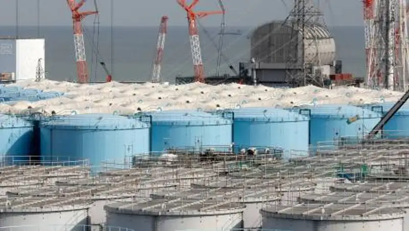 В Японии проверят воздействие воды с аварийной АЭС на рыбу