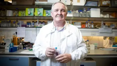 knife.media, фото - Новости Zakon.kz от 28.03.2019 16:47