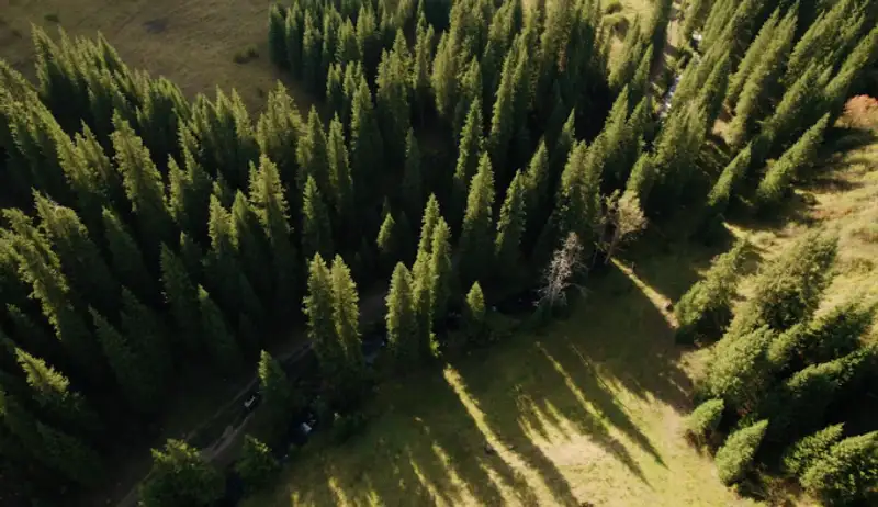 , фото - Новости Zakon.kz от 18.10.2021 16:15