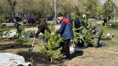 Около 300 деревьев высадили в Петропавловске во время субботника, фото - Новости Zakon.kz от 29.04.2023 14:33