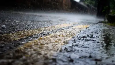 Эфкате, фото - Новости Zakon.kz от 24.04.2019 09:21