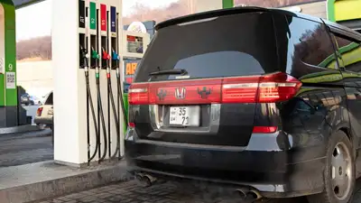 МВД начало временную регистрацию автомобилей ввезенных в РК из ЕАЭС, фото - Новости Zakon.kz от 18.07.2023 19:28