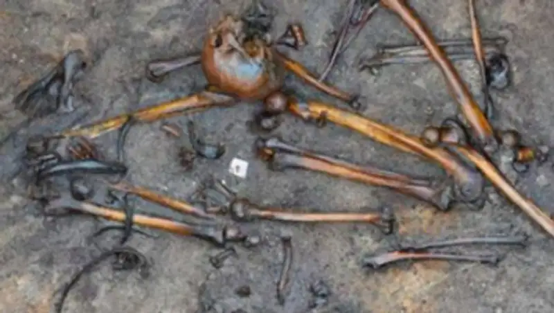 В Дании нашли кости сотни убитых человек