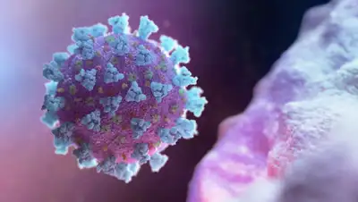 Interfax, фото - Новости Zakon.kz от 24.04.2020 14:51