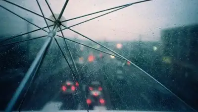 Zakon.kz, фото - Новости Zakon.kz от 21.04.2017 12:01