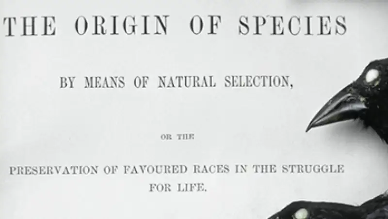В Великобритании выбрали самый влиятельный научный труд в истории человечества