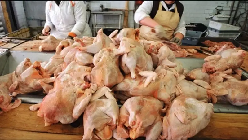 Зараженное сальмонеллой российское мясо птицы изъяли в Кокшетау 