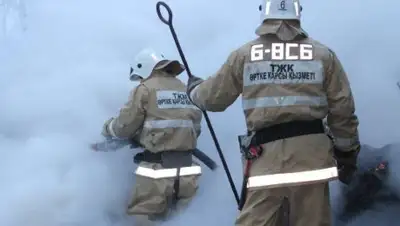 Zakon.kz, фото - Новости Zakon.kz от 07.02.2017 22:53