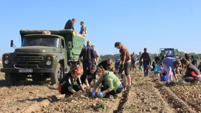 Zakon.kz, фото - Новости Zakon.kz от 23.10.2017 11:53