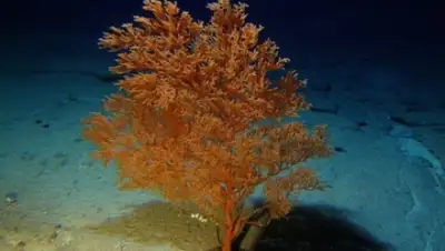 Zakon.kz, фото - Новости Zakon.kz от 06.07.2015 16:59