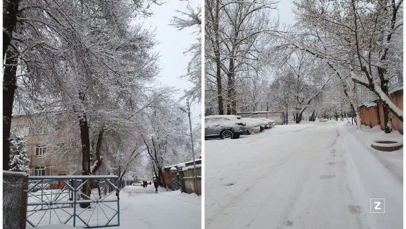 Погода в алматы в апреле 2024. Алматы зима. Алматы погода зимой. В Алматы выпал снег. Казахстан Алматы снег 2024.