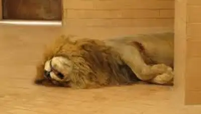 Zakon.kz, фото - Новости Zakon.kz от 08.10.2015 21:53