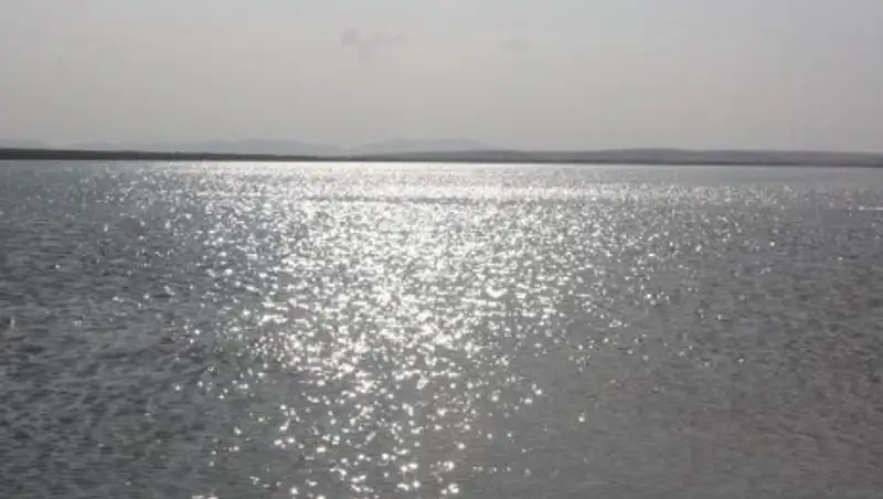 Пропавшего человека ищут в канале таразские водолазы