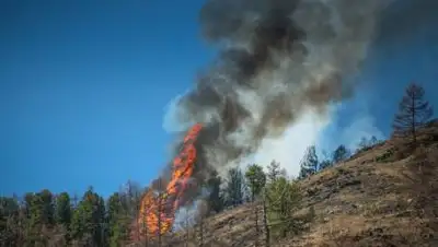 4s-info.ru, фото - Новости Zakon.kz от 15.07.2021 14:44