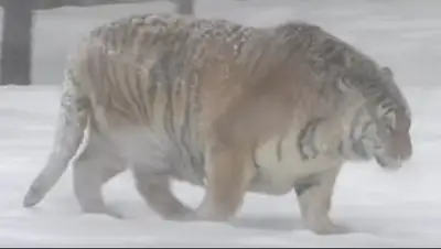 Zakon.kz, фото - Новости Zakon.kz от 24.02.2017 13:02