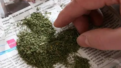 infpol.ru, фото - Новости Zakon.kz от 26.03.2018 11:32