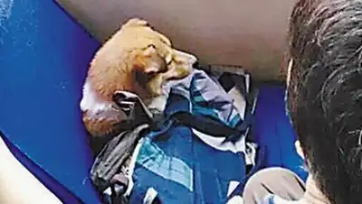 Zakon.kz, фото - Новости Zakon.kz от 19.08.2015 23:39