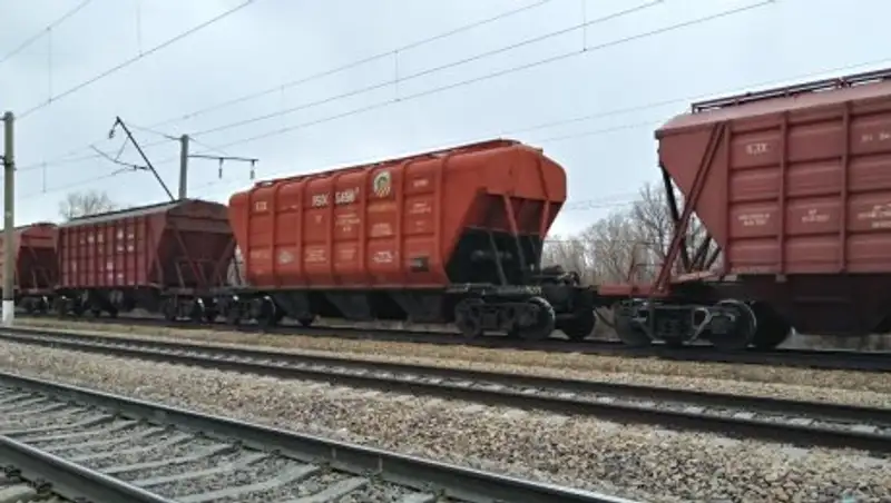 В Костанайской области перевезено на 34% больше зерна