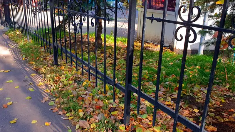 опавшие листья, фото - Новости Zakon.kz от 10.11.2023 17:05