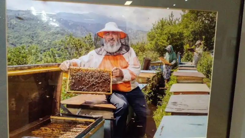 Казахстанский пчеловод, фото - Новости Zakon.kz от 04.03.2022 16:13