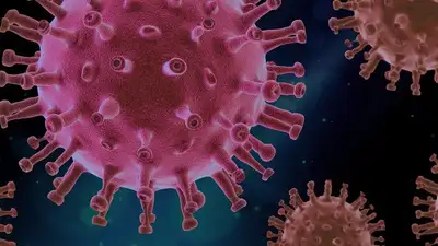 ВОЗ пугает новой пандемией, фото - Новости Zakon.kz от 24.05.2023 07:55