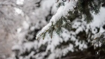 рк, погода, зима, прогноз, казгидромет, фото - Новости Zakon.kz от 25.02.2022 14:35