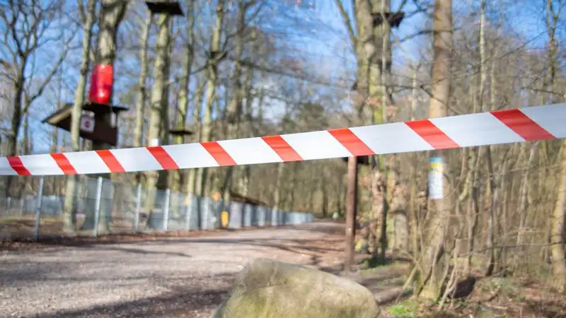 В Мексике самолет разбился на вечеринке по определению пола ребенка