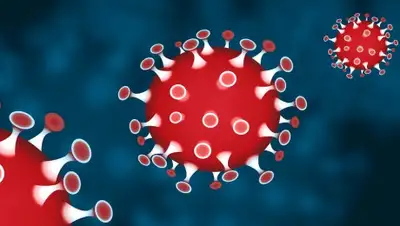 pixabay.com, фото - Новости Zakon.kz от 04.06.2020 17:40