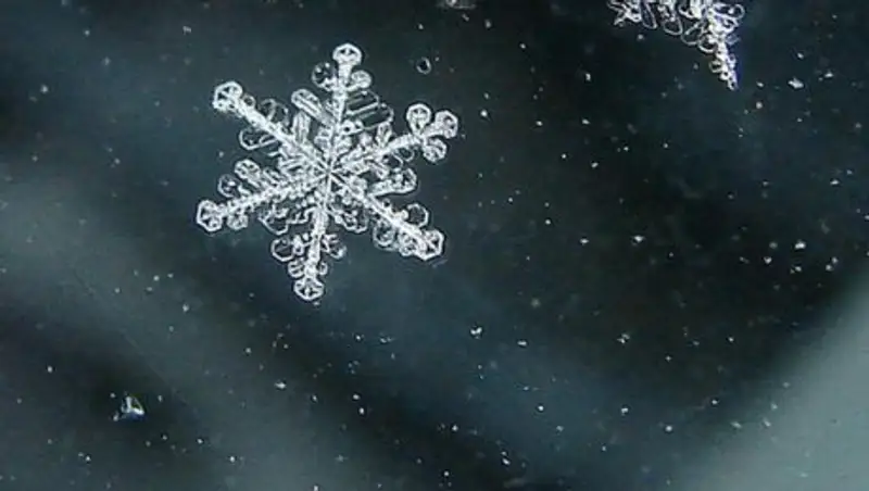 На юге Казахстана в горах ожидается снег